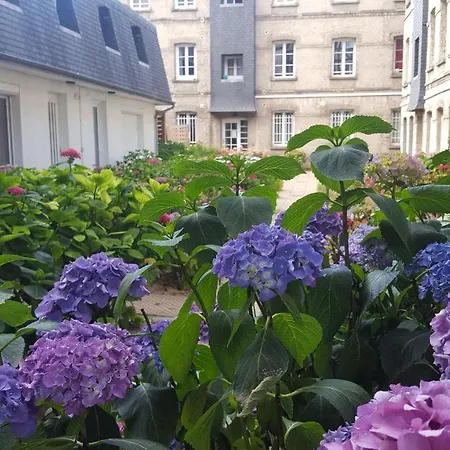 Διαμέρισμα Welk'home Loft Chu - Coeur Historique *