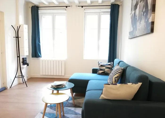 Apartamento Welk'home Loft Chu - Coeur Historique *